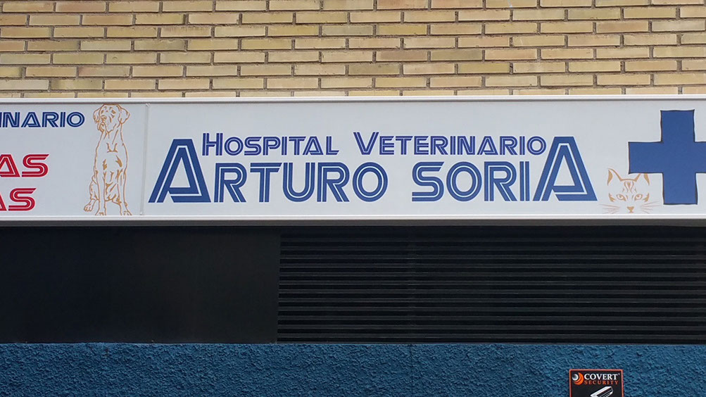 rotulo con iluminacion led